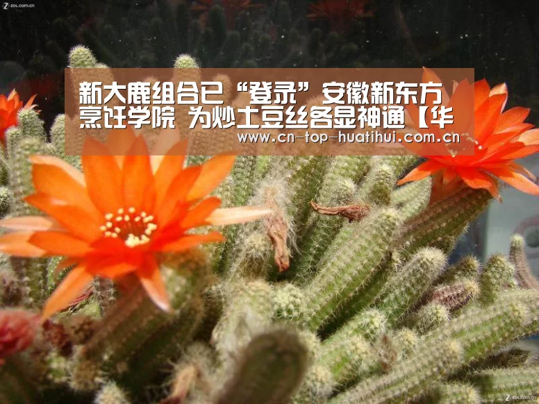 新大鹿组合已“登录”安徽新东方烹饪学院 为炒土豆丝各显神通【华体会入口】(图1) 电竞棋牌