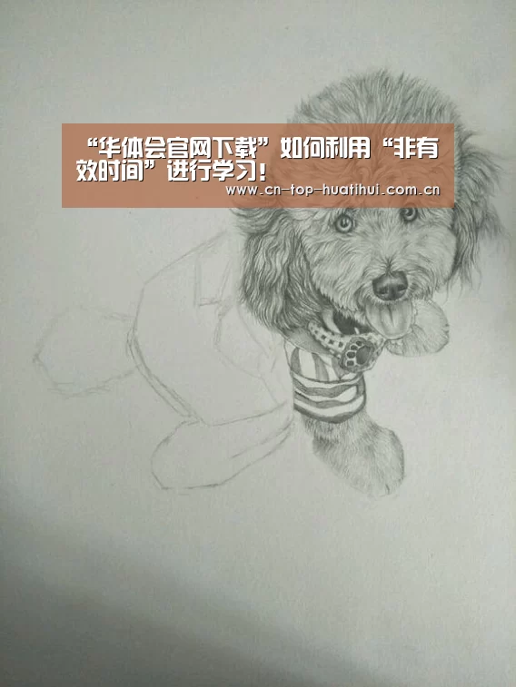 “华体会官网下载”如何利用“非有效时间”进行学习!(图2) 华体会官网下载