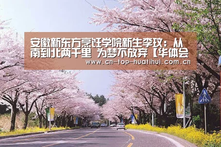 华体会棋牌