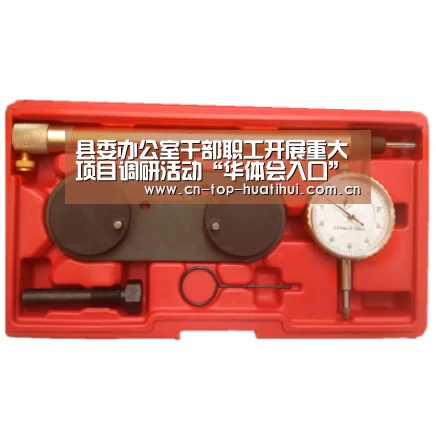 县委办公室干部职工开展重大项目调研活动“华体会入口”(图3) 华体会入口