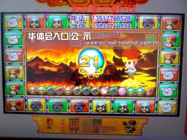 华体会入口|公 示(图1) 电竞棋牌