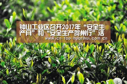 钟山工业区召开2017年“安全生产月”和“安全生产贺州行”活动工作布置会-华体会入口(图1) 华体会棋牌